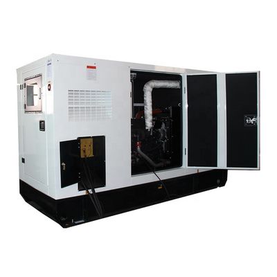 Generador de gas natural de 3 fases 60kw 75kva silencioso para la venta Producción de generadores de gas directa fábrica
