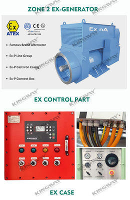 Plataforma en alta mar ATEX Zona 2 32kw 40kva zona1 conjunto de generadores diesel a prueba de explosión DNVGL 2.7-1marco de elevación