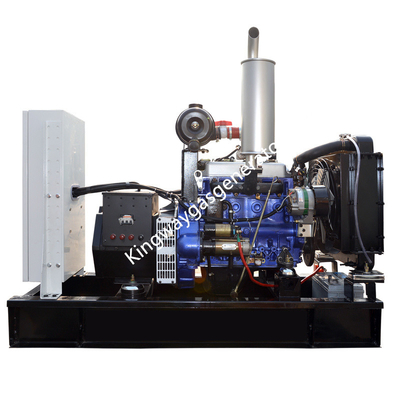 Sistema dual silencioso Cummins Engine del diesel del combustible de 20KW 25KVA y de generador del biogás