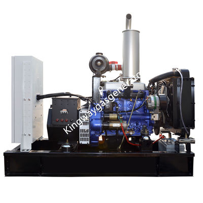 Sistema dual silencioso  Engine del diesel del combustible de 20KW 25KVA y de generador del biogás